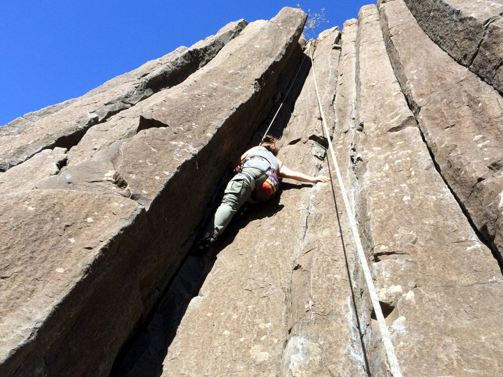 Skinner's Butte Columns